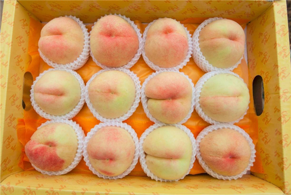 無(wú)錫水蜜桃價(jià)格 無(wú)錫水蜜桃多少錢一斤