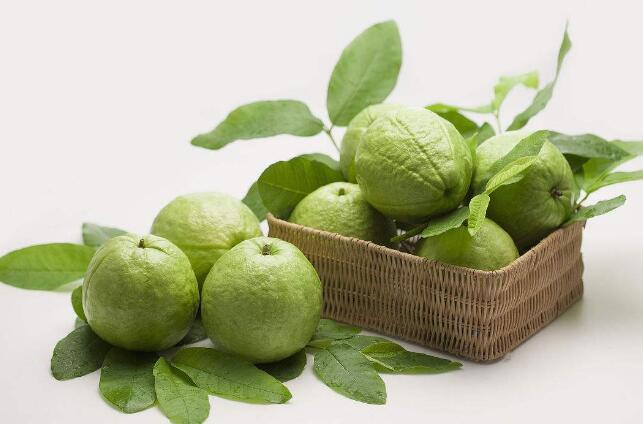 番石榴有什么好處與壞處 番石榴吃多了會怎樣