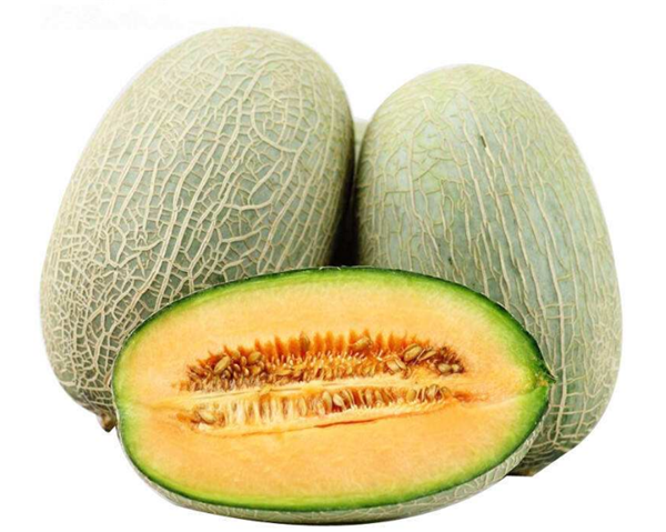 哈密瓜圖片，哈密瓜種子，哈密瓜長在哪