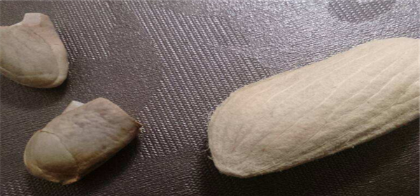芒果盆栽種植方法(圖解) 芒果盆景怎么養