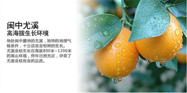 脆皮金桔哪里的最正宗 脆皮金桔產自哪里