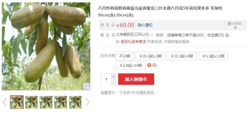 野香蕉多少錢一斤，八月瓜野香蕉30-60元/斤
