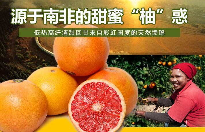葡萄柚多少錢一斤(15-19元) 好吃不貴的葡萄柚推薦