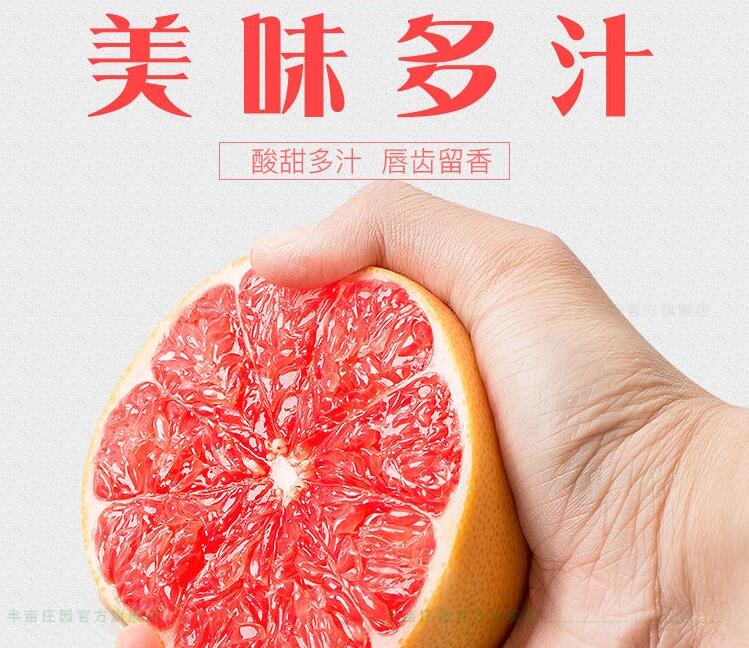 葡萄柚多少錢一斤(15-19元) 好吃不貴的葡萄柚推薦