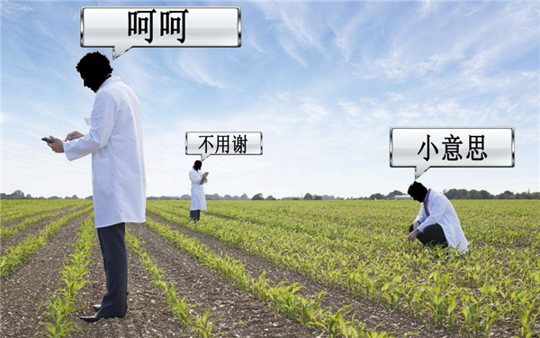 香蕉樹是一年一種嗎 香蕉樹一年結幾次果