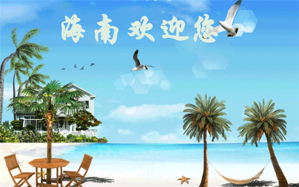 椰子樹象征什么意思 椰子樹代表堅(jiān)韌與完美