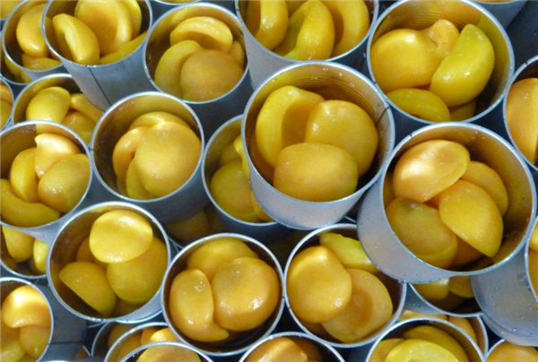 黃桃什么季節成熟(7月中旬) 各品種黃桃成熟時期