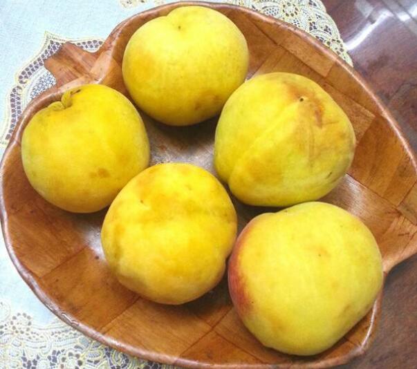 黃桃為什么市面沒有，黃桃是易爛水果儲(chǔ)存困難