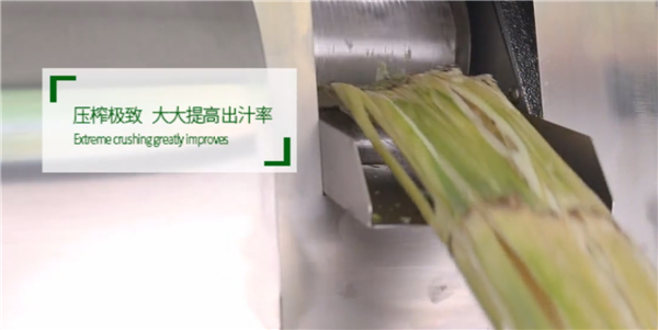 夏天賣甘蔗汁賺錢嗎 賣甘蔗汁利潤高嗎
