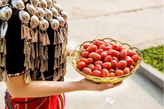 羊奶果圖片 羊奶果圖片大全 羊奶果高清圖片大全