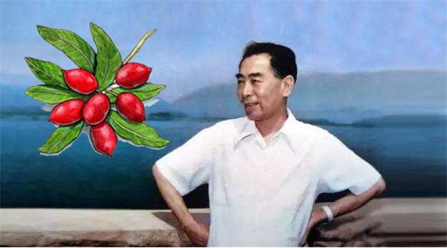 神秘果有什么神秘 神秘果為什么禁止