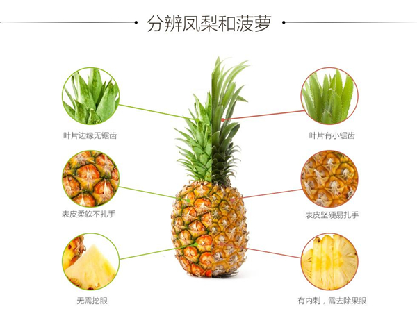 鳳梨是什么水果 鳳梨的功效與作用