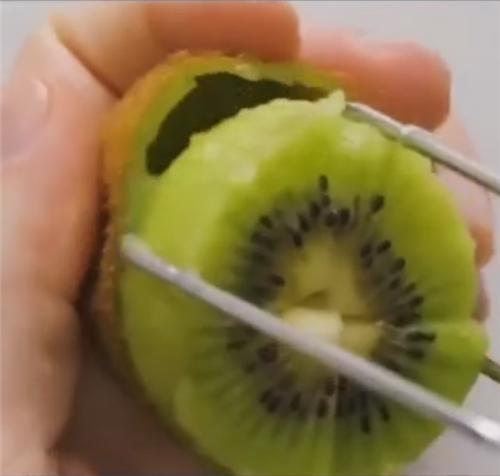 西瓜的正確吃法圖解 夏日各種水果最方便的吃法