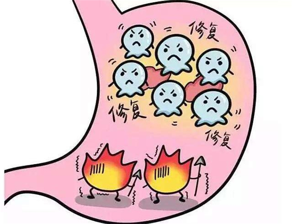 姑娘果為什么叫姑娘 姑娘果的名字由來(lái)是什么