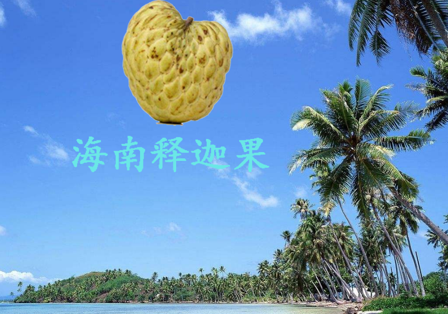 釋迦果哪里產的好吃，釋迦果的產地在哪
