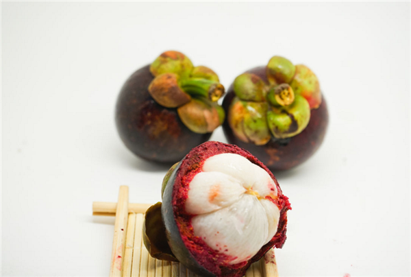 山竹圖片 山竹樹圖片 山竹長在樹上的樣子