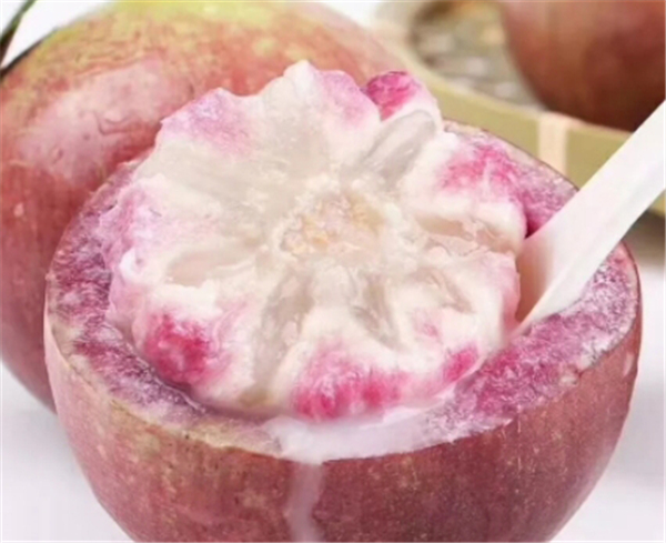 牛奶果圖片 牛奶果圖片大全 什么是牛奶果