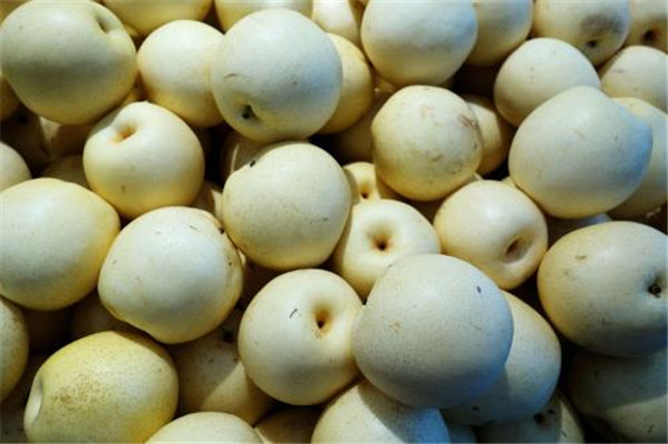 梨一天吃幾個最好 梨的食用功效和適宜人群