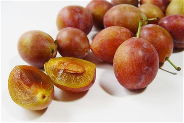 中國西梅產(chǎn)地是哪里 中國哪里最適合