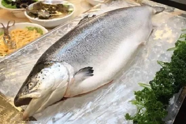 三文魚(yú)價(jià)格多少錢(qián)一斤，超市最高賣(mài)到180元一斤