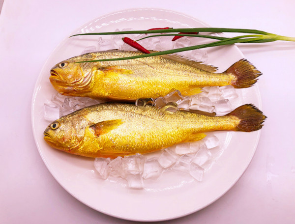 黃魚多少錢一斤,不同品種的黃魚價格都不等