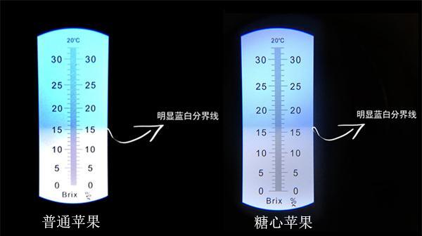 普通蘋果和糖心蘋果的區(qū)別
