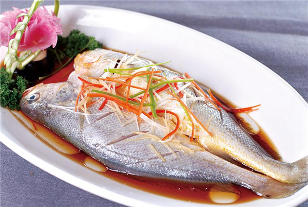 黃魚圖片 黃魚圖片大全 如何識別黃魚