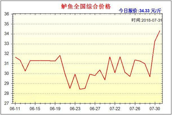 鱸魚多少錢一斤，2019年鱸魚價格預估