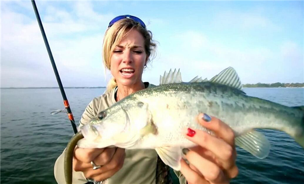 鱸魚是海魚嗎,鱸魚有海魚的品種