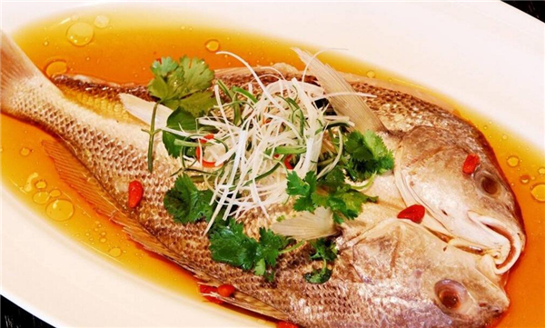 清蒸鱸魚最簡(jiǎn)單的做法，四步學(xué)會(huì)清蒸鱸魚做法