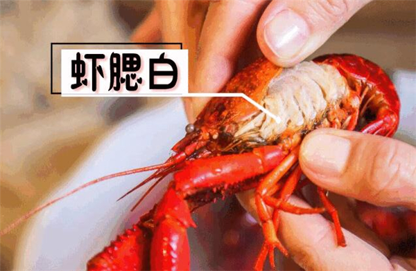 洗蝦粉洗過龍蝦能活嗎,洗過的龍蝦都表示奄奄一息生無可戀