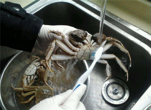 大閘蟹如何清洗,大閘蟹清洗前用酒泡出內漬