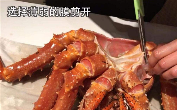 帝王蟹怎么殺圖解 分解帝王蟹從“欺軟怕硬”開始
