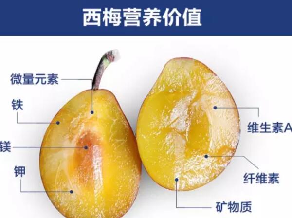 西梅是什么季節水果，西梅的營養價值