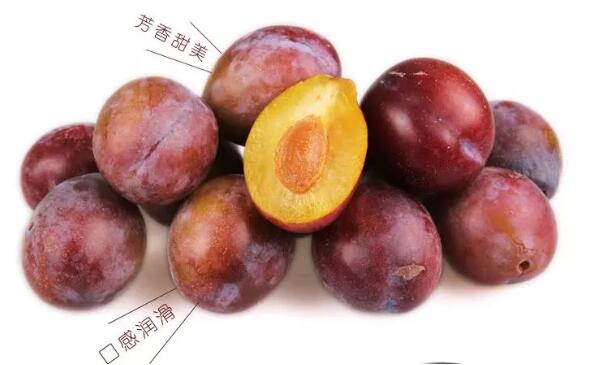 西梅是什么季節水果，西梅的營養價值
