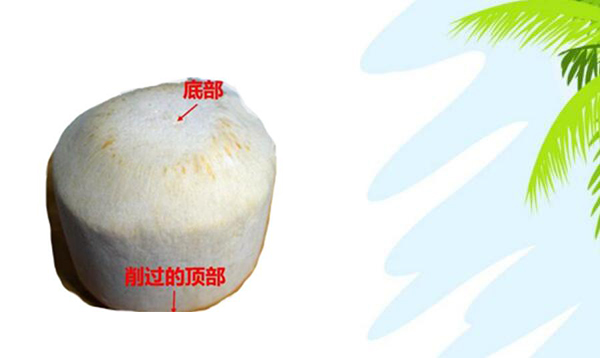 青椰子的三個孔怎么找，青椰子怎么開孔圖解步驟