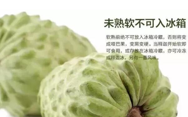 如何挑選釋迦果，臺灣釋迦果怎么挑選，最簡單的釋迦果的挑選方法