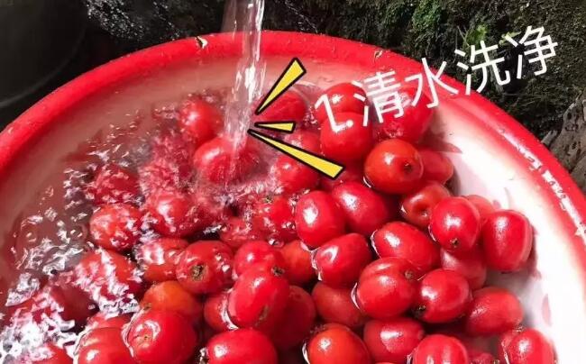 羊奶果好吃嗎，羊奶果怎么吃，羊奶果圖片步驟三種做法