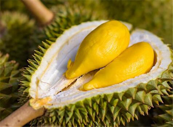 海南特產水果有哪些，海南特產水果(名稱)圖片大全