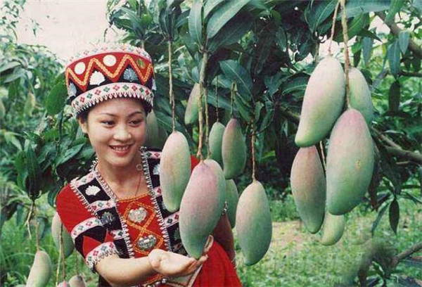 廣西特產水果都有哪些，廣西特產水果圖片大全