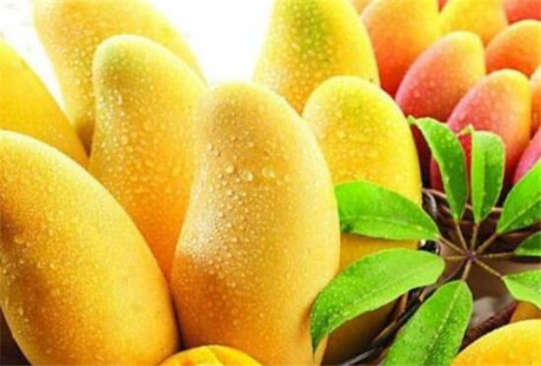 夏天什么水果耐放易儲存，什么水果耐放不放冰箱