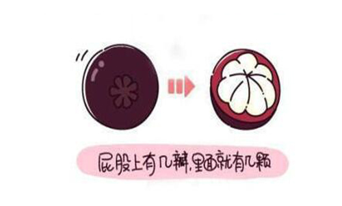 山竹水果的正確吃法漫畫，挑選水果的正確吃法山竹篇