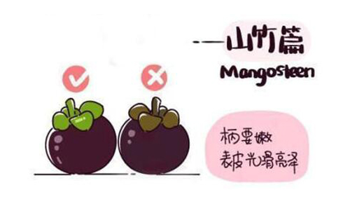 山竹水果的正確吃法漫畫，挑選水果的正確吃法山竹篇