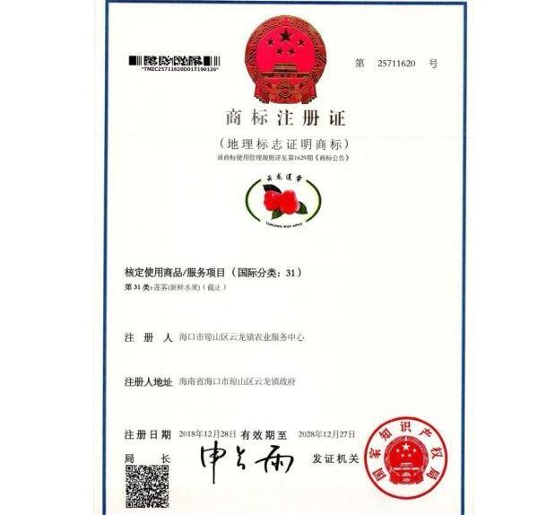 泰國海南蓮霧幾月份上市，蓮霧幾月份上市多少一斤