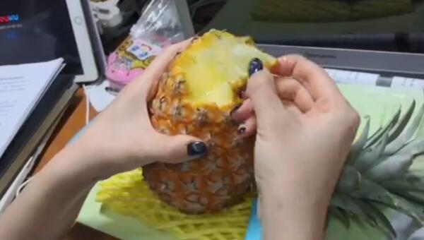 菠蘿水果的正確吃法，與菠蘿同一物種不同品種的鳳梨“撕”著吃