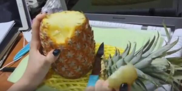 菠蘿水果的正確吃法，與菠蘿同一物種不同品種的鳳梨“撕”著吃