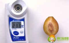 哪個品種的西梅最甜，新疆喀什法蘭西西梅糖度能達到22-25%