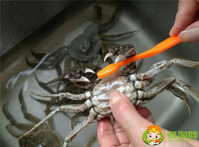 梭子蟹怎么洗最干凈，梭子蟹怎么洗干凈圖解
