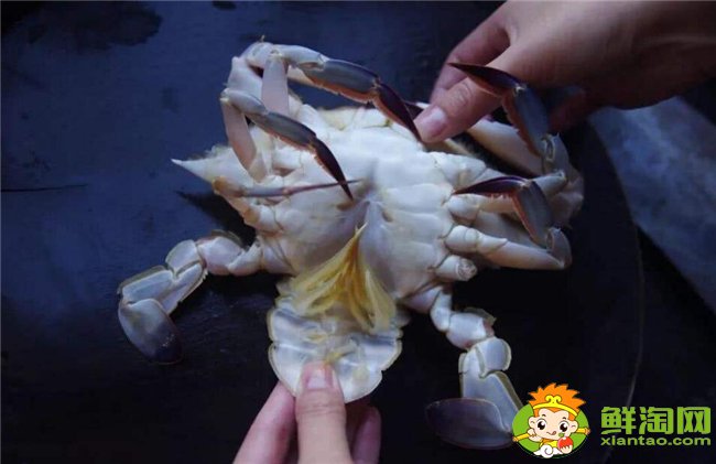 梭子蟹怎么洗最干凈，梭子蟹怎么洗干凈圖解