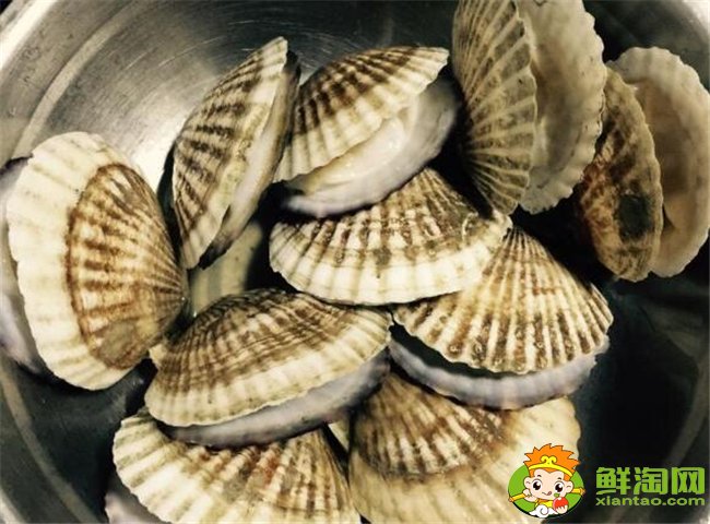 扇貝怎么洗干凈，扇貝肉怎么洗干凈(去除內臟用鹽水生粉唰一唰)